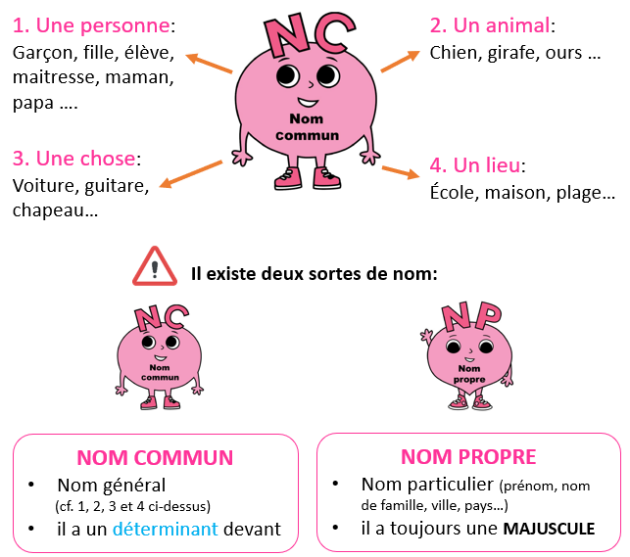 Leçon 07 - Le nom